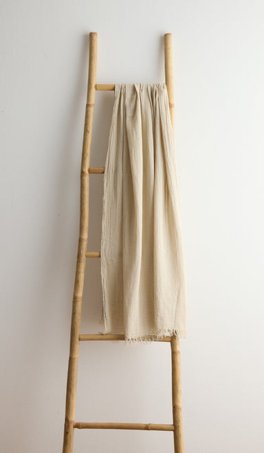 פראו חוף - חול שטוף