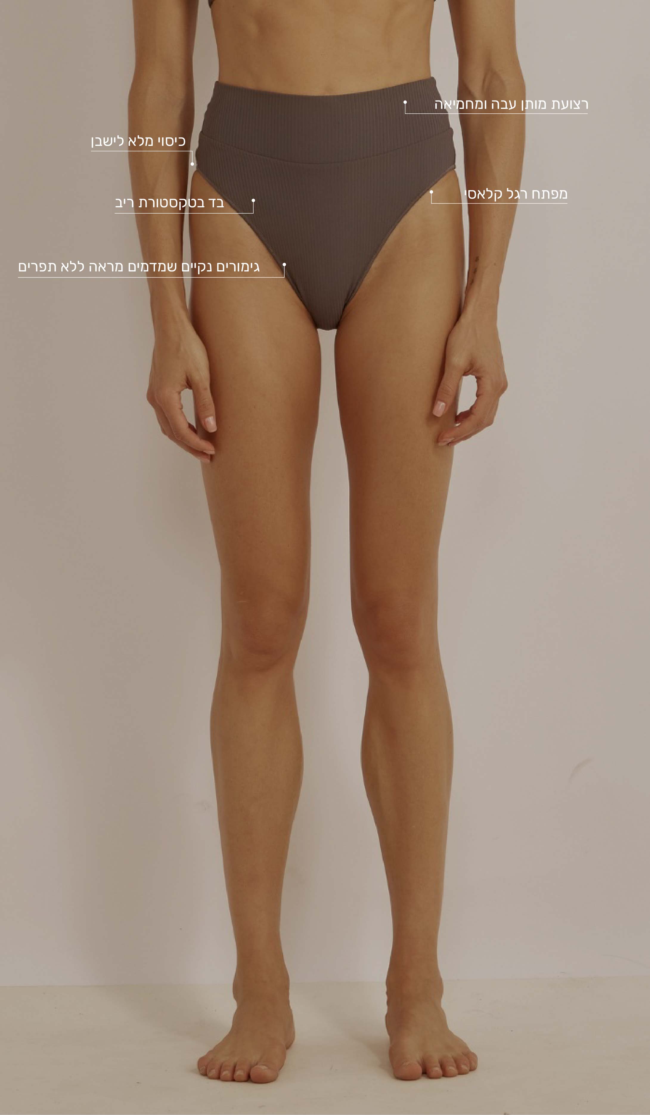 תחתון ביקיני לנשים - אמילי סגול קקאו ריב